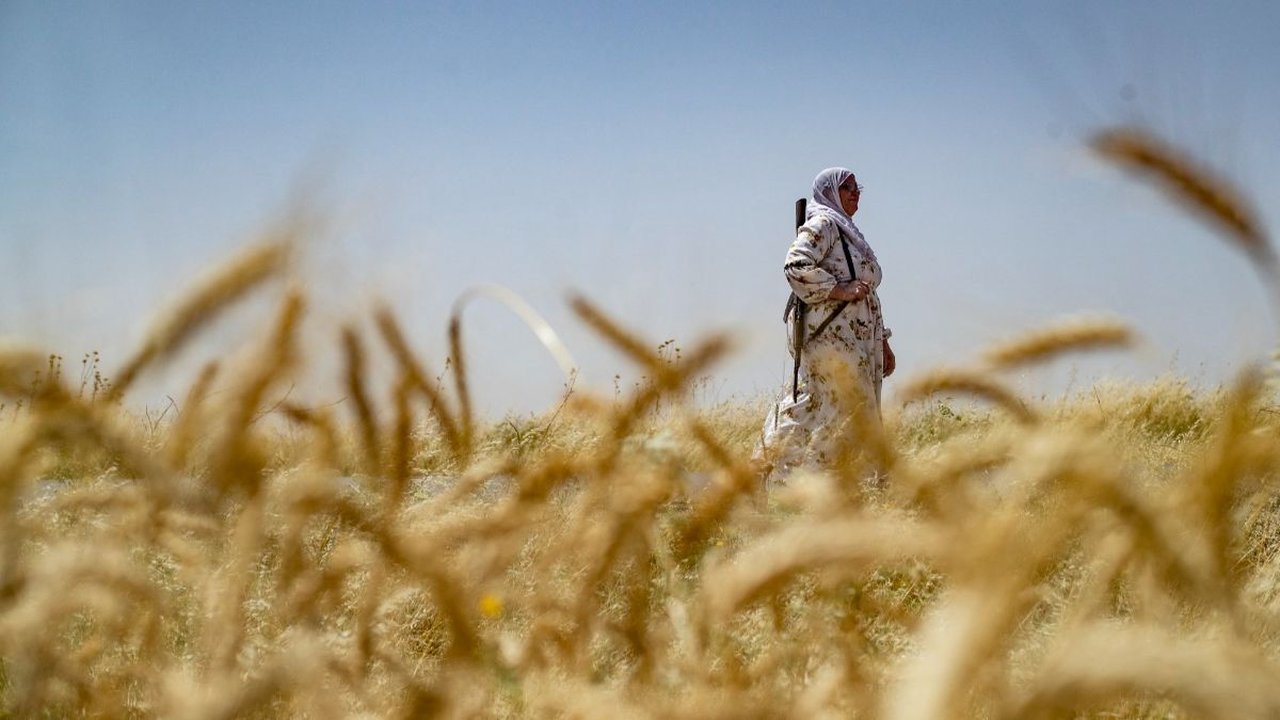 FOTO: Sangar! Perempuan di Suriah Ini Jaga Ladang Gandum Sambil Bawa Senapan Serbu