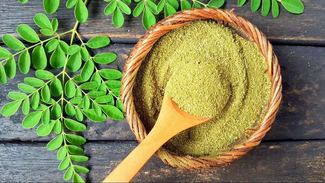 Sering Dijuluki Sebagai 'Pohon Ajaib' Ternyata Daun Kelor Bisa Menurunkan Berat Badan