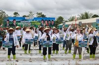 Dentuman Tifa Tandai Peluncuran Program Ketahanan Pangan DPD RI di Papua Tengah: Langkah Strategis Wujudkan Indonesia Emas 2045