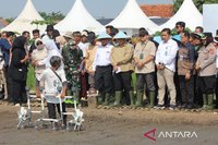 BP Taskin Uji Coba Sistem Pertanian Digital di Cirebon: Petani Bisa Panen 4 Kali Setahun?