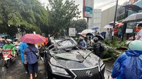 Pohon Tumbang Akibat Hujan & Angin Kencang di Pondok Indah Timpa Mobil Mewah, Pengendara Meninggal Dunia