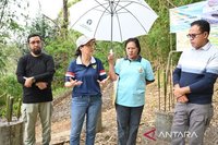 Tahukah Anda? Kebun Pangan Perempuan: Pemberdayaan Wanita Desa untuk Ketahanan Pangan Keluarga yang Lebih Baik