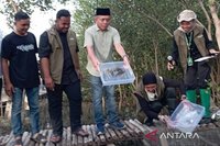 Pelepasliaran Bibit Kepiting dan Penanaman Mangrove Perkuat Konservasi di Mangrove Park Lampulo