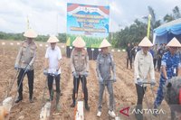 Polda Kalsel Canangkan Potensi Jagung Tanah Laut, Targetkan Swasembada Pangan Nasional