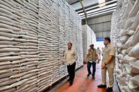 HKTI: Stok Beras Melimpah, Optimisme Swasembada Beras Kian Kuat