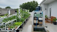 8 Kebun Hidroponik di Atap Rumah Agar Lahan Sempit Tetap Produktif, Panen Sayur Tanpa Perlu Lahan Luas