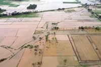 Satgas PRR Percepat Rehabilitasi Sawah Terdampak Bencana di Sumatera