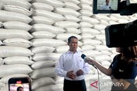 Capaian Swasembada Pangan Indonesia: Impor Hanya 5 Persen Kebutuhan Nasional