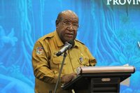 Pemprov Ingatkan Pentingnya Jaga Kawasan Hutan Papua Pegunungan, Penyangga Iklim Global
