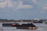 Windfall Tax Bisa Dongkrak Penerimaan Negara Rp66 Triliun, Ini Kata Celios