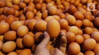 10 Cara Menyimpan Telur Agar Tetap Segar, Awet, dan Aman Dikonsumsi Jangka Panjang
