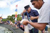 Pemprov Maluku Utara Sukses Panen 1,5 Ton Udang Vaname, Genjot PAD dan Kesejahteraan Nelayan