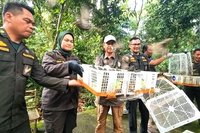 Pelepasliaran Burung NTB: Ribuan Satwa Liar Kembali ke Habitat Alami di TWA Suranadi