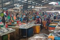 Jelang Idul Adha 2026, Pemprov Kepri Intensifkan Pemantauan Harga Pangan