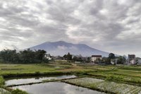Gunung Marapi Erupsi, Semburkan Abu Vulkanik Setinggi 500 Meter