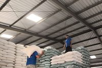 Bulog Pastikan Stok Beras Singkawang Aman Hingga Enam Bulan ke Depan