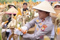 Polda Metro Jaya Perkuat Ketahanan Pangan Nasional Melalui Panen Jagung dan SPPG