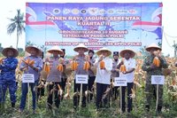 Polda Banten Panen Jagung 29,5 Ton, Perkuat Ketahanan Pangan Nasional Menuju Indonesia Emas 2045