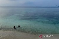 Pesona Pulau Pahawang Lampung: Destinasi Bahari Unggulan dengan Keindahan Bawah Laut Memukau