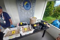 Satgas Gabungan Gagalkan Penyelundupan 2.253 Telur Penyu di Perbatasan Jagoi Babang