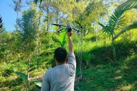 BKSDA Sumbar dan Sintas Pantau Ketat Batang Palupuh Usai Evakuasi Harimau Sumatera