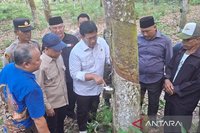 Wamentrans Viva Yoga Mauladi Siap Perjuangkan Pupuk Subsidi untuk Petani Karet Nasional