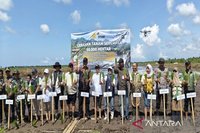 BRMP Kalsel Dukung Percepatan Tanam Padi, Perkuat Pertanian Modern di Kalimantan Selatan