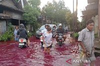 Tanggul Sungai Godo Jebol, Banjir Pati Meluas Rendam Puluhan Rumah Warga