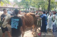 DP3 Sleman Optimistis Pasokan Hewan Kurban Terpenuhi Jelang Idul Adha 2026