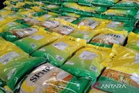 Kementan Optimistis Produksi Beras Nasional Terjaga Hadapi Ancaman El Nino: Strategi Antisipasi Kekeringan Ekstrem
