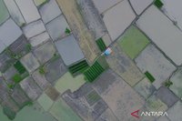 Wamentan: Program Cetak Sawah Investasi Pangan Jangka Panjang Hadapi Pertumbuhan Penduduk