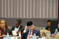 Kritik Program Pemerintah: Wamendes Riza Patria Sebut Bagian dari Demokrasi