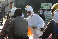 KKI Kampanyekan Hentikan Perburuan Burung Paruh Bengkok Aru di Maluku