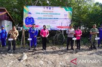 Polda Jambi Lestarikan Lingkungan: Ribuan Mangrove Ditanam Sambut HUT Bhayangkara ke-80