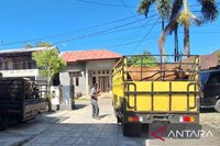 Persediaan Hewan Kurban Aceh Besar Dipastikan Cukupi Kebutuhan Meugang dan Idul Adha