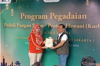 Pegadaian Salurkan 1.800 Paket Daging Kurban, Dukung Pangan Sehat Masyarakat di Idul Adha 1447 H