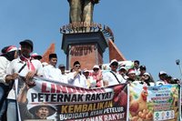 Peternak Blitar Raya Minta Perlindungan Pemerintah: Harga Telur Anjlok dan Pakan Melambung Tinggi