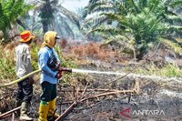 Kebakaran Lahan Nagan Raya Meluas hingga 60 Hektare, Tim Gabungan Terus Berjibaku