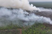 Manggala Agni Kemenhut Terus Berjuang Padamkan Karhutla Riau di Bengkalis dan Rohil