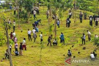 Otorita IKN dan Perbanas Perkuat Penghijauan dengan Penanaman 1.153 Pohon di Kawasan Inti