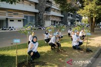Pemberdayaan Lingkungan: Menanam Pohon, Membangun Harapan Masa Depan Berkelanjutan