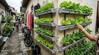 7 Ide Kebun Mini Hidroponik untuk Rumah di Gang Sempit, Ciptakan Ruang Hijau di Lahan Terbatas