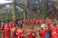Strategi Efektif Manggala Agni dalam Penanganan Karhutla Riau: Hasil Signifikan Terlihat