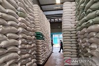 Bulog Sumut Perkuat Stok Beras dengan Tambahan 15.000 Ton, Jamin Ketersediaan Pangan