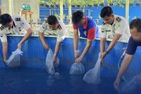 Lapas Banjarmasin Kembangkan Budidaya Lele Bioflok, Bekali Warga Binaan Keterampilan Produktif