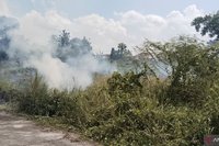 Tim Satgas Berhasil Padamkan Karhutla OKU di Air Paoh, Warga Diimbau Waspada