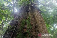 Mendesak: Seruan 