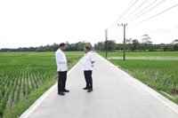 Pembangunan Infrastruktur Jalan Dongkrak Ekonomi Banten: Pertumbuhan Positif dan Daya Beli Petani Meningkat