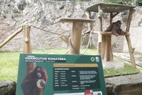 Pemkot Bandung Targetkan Revitalisasi Bandung Zoo Rampung Kurang dari Setahun