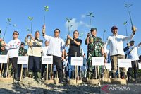 Indonesia Genjot Restorasi Mangrove 700 Ribu Hektar, Kunci Mitigasi Iklim dan Ekonomi Pesisir